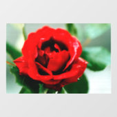 Autocollant Pour Fenêtre Red Rose Love (Feuille)