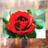 Autocollant Pour Fenêtre Red Rose Love (Feuille 2)