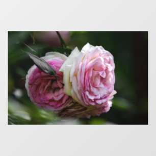 Autocollant pour fenêtre - Roses roses - Duo ému