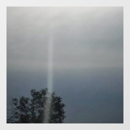 Autocollant Pour Fenêtre sticker murale éco design cool éco style (Feuille)