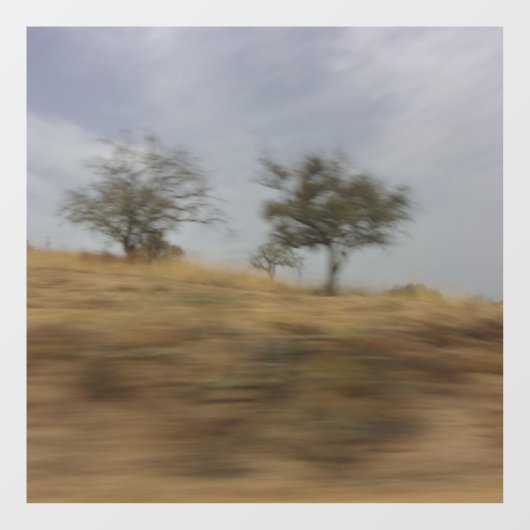 AUTOCOLLANT POUR FENÊTRE STYLE DE CONCEPTION DE MUR DECAL (Feuille)