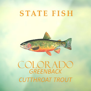 Autocollant Pour Fenêtre Territoire du Colorado Poisson La truite fardée Gr