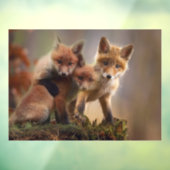 Autocollant Pour Fenêtre Triplets Foxy (Feuille 3)