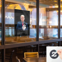 Trump 2024 Cat MAGA Funny Trump Cat