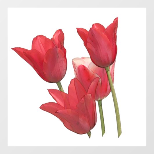 Autocollant Pour Fenêtre Tulipes rouges (Feuille)