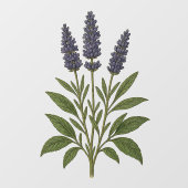 Autocollant Pour Fenêtre Vintage Lavender (Feuille)