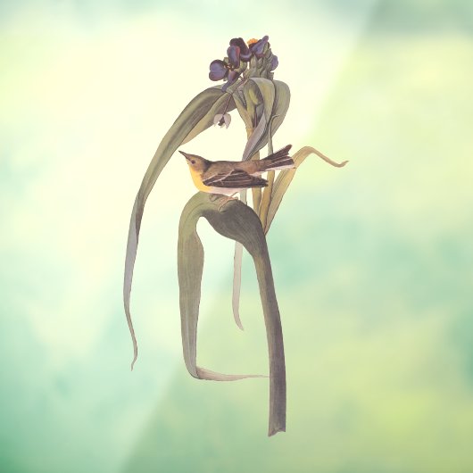 Autocollant Pour Fenêtre Vireo Songbird d'Audubon (Feuille 3)