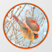 Autocollant Pour Fenêtre Vol Cardinal Nord - Photo originale (Feuille)