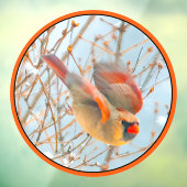 Autocollant Pour Fenêtre Vol Cardinal Nord - Photo originale (Feuille 3)