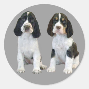 Autocollant pour marionnettes espagnols Springer a