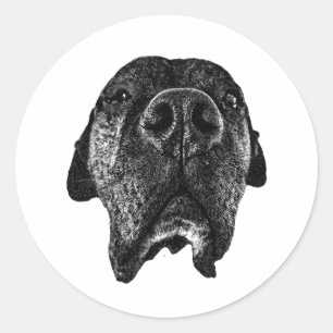 Autocollant pour nez de Cane Corso Art de chien