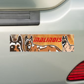 autocollant pour voiture malinois (En voiture)