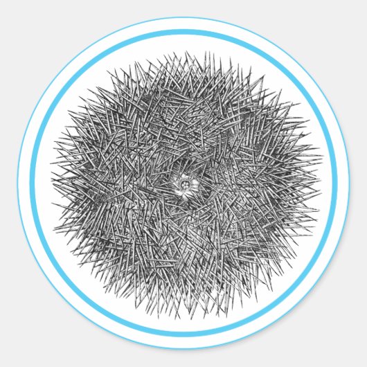 Autocollant Pricky Urchin (Devant)