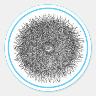 Autocollant Pricky Urchin