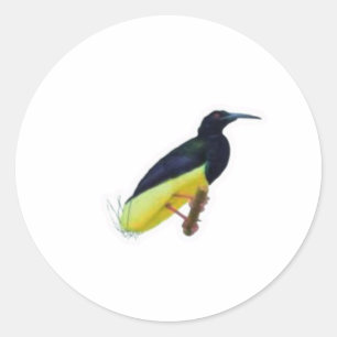 Autocollant réaliste de l'oiseau de paradis à douz