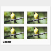 Autocollant rectangle ornithologique américain Gol (Feuille)