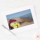 Autocollant rectangulaire Danny Duck le Pirate (Enveloppe)