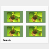 Autocollant rectangulaire de nid de colibri (Feuille)