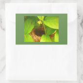 Autocollant rectangulaire de nid de colibri (Sac)