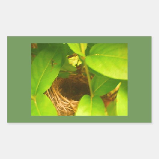 Autocollant rectangulaire de nid de colibri (Devant)