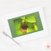 Autocollant rectangulaire de nid de colibri (Enveloppe)