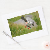 Autocollant rectangulaire volant de l'oiseau Puffi (Enveloppe)