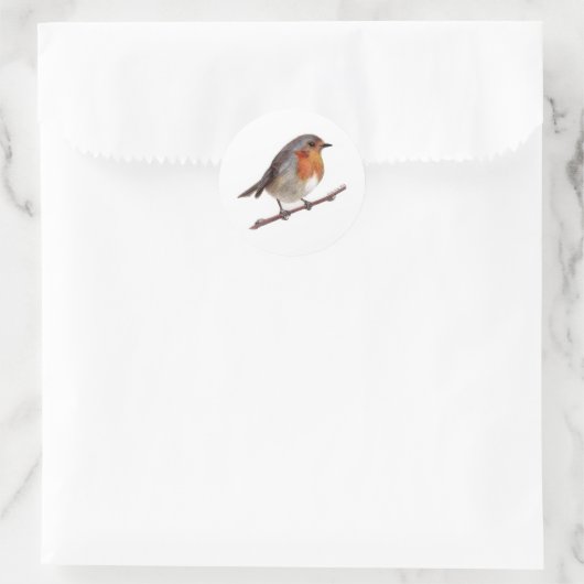 Autocollant Robin Bird (Erithacus Rubecula) (Sac)