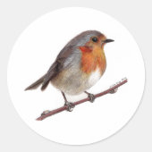 Autocollant Robin Bird (Erithacus Rubecula) (Devant)