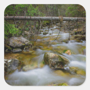 Autocollant rocheux de crique de forêt