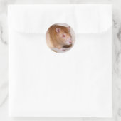 Autocollant Rolando (Sac)