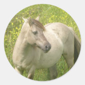 Autocollant rond à cheval sauvage mignon (Devant)