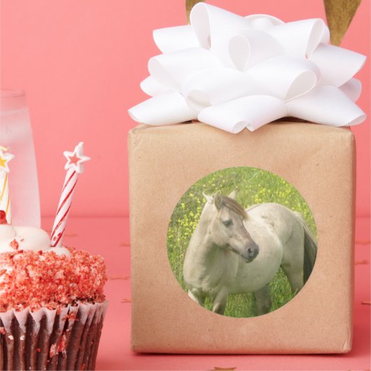 Autocollant rond à cheval sauvage mignon (Fête)