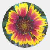 Autocollant rond à fleurs de couverture indienne (Devant)