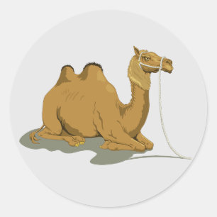 Autocollant rond Animé Camel