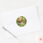 Autocollant rond avec escargot (Enveloppe)