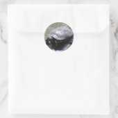 Autocollant rond avec tortue (Sac)