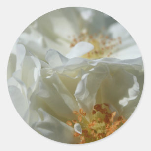 Autocollant rond blanc doux 1