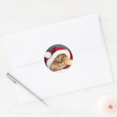 Autocollant rond classique Chat Tabby de Noël (Enveloppe)