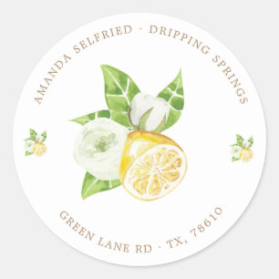 autocollant rond classique d'arbre de citron agrum