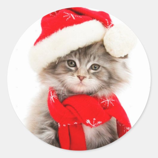 Autocollant rond classique de chaton de Noël migno (Devant)