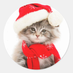 Autocollant rond classique de chaton de Noël migno