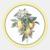 Autocollant Rond Classique de Citron (Devant)