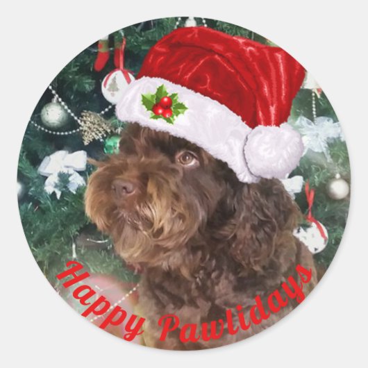 Autocollant rond classique Joyeuses Pawlidays (Devant)