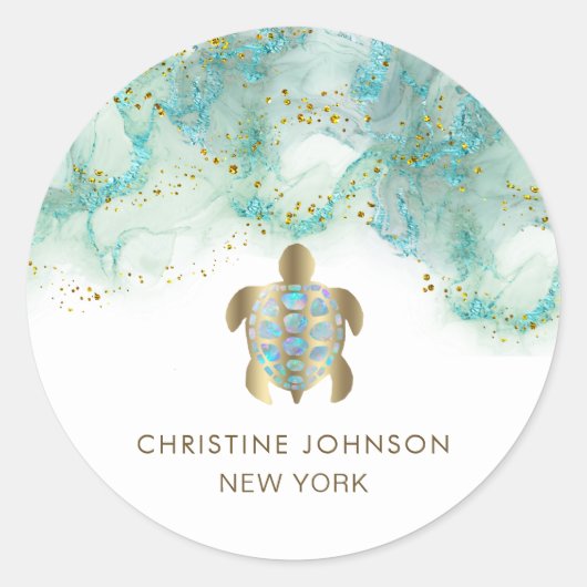 autocollant rond classique logo tortue (Devant)