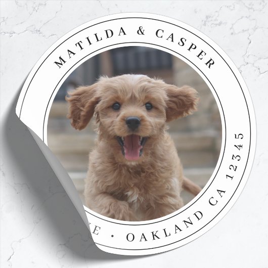 Autocollant rond classique photo de chien adresse 