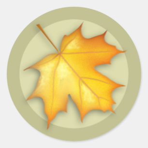 Autocollant rond feuille d'érable sucre automne