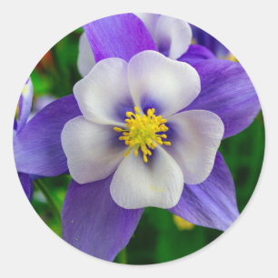 Autocollant Rond Fleur Charmante