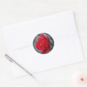 Autocollant Rond Rose Rouge (Enveloppe)
