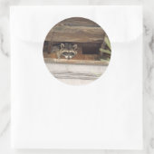 Autocollant Roofie Raccoon (Sac)