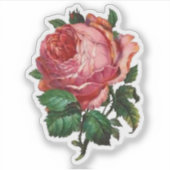 Autocollant Rose antique (Devant)